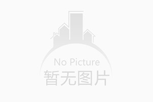 中铁二局捣固车磨憨口岸顺利出关