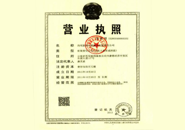 西双版纳元顺报关限责任公司营业执照